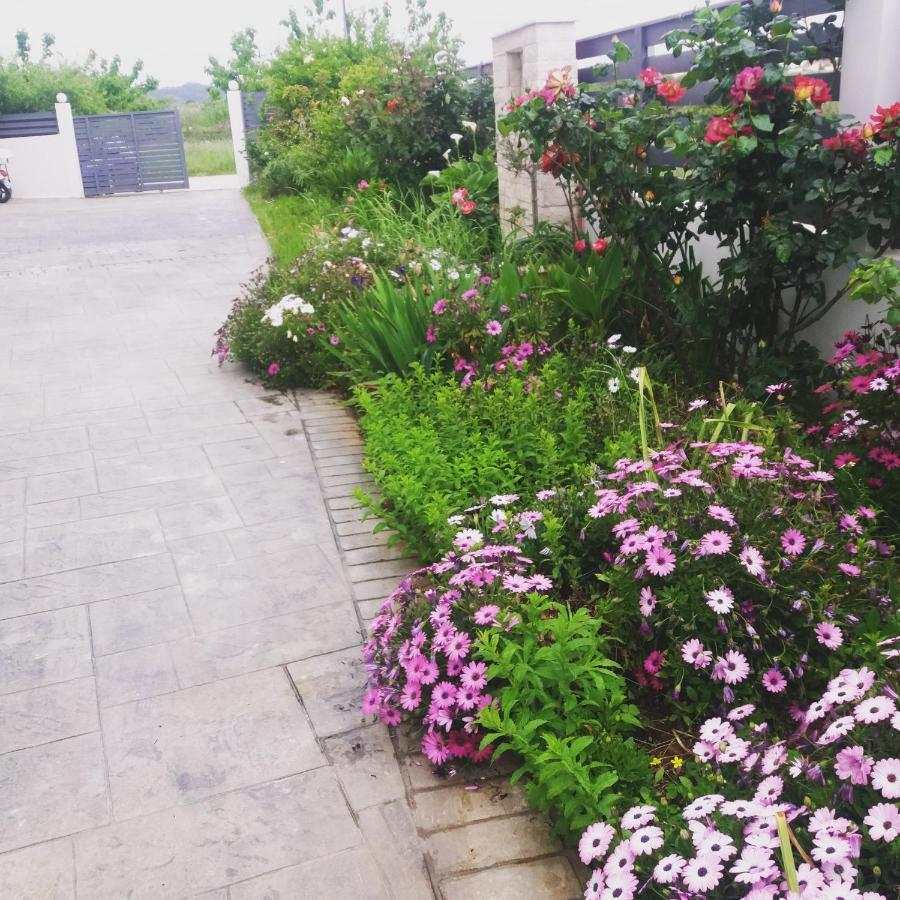 Dream House Apartment Preveza Bagian luar foto